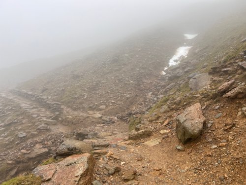 First patch of the day