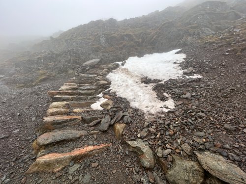 Avoidable patch on the path