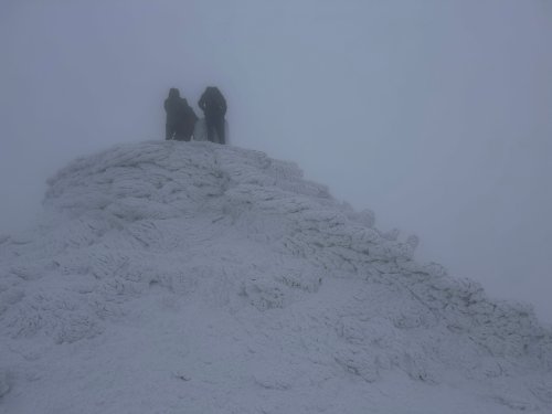 Lluwchfeydd yr Hafod